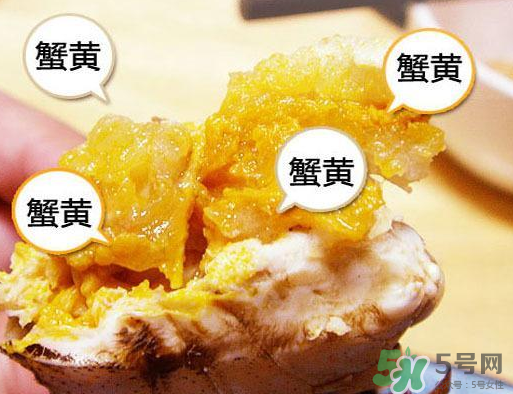 六月黃大閘蟹好吃嗎？六月黃和大閘蟹有什么區(qū)別？