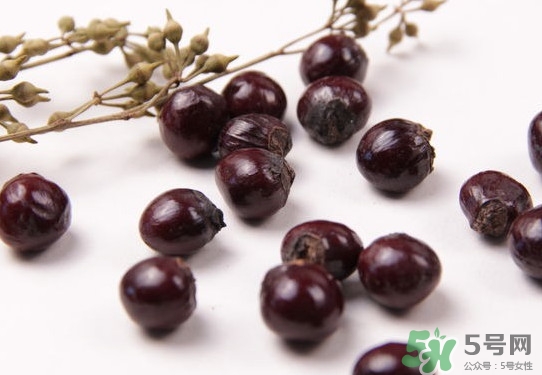 龍眼核能種嗎？龍眼核怎么種盆栽