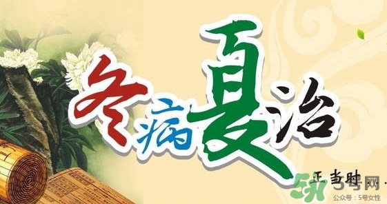 三伏灸要灸幾次？三伏灸要灸多久？