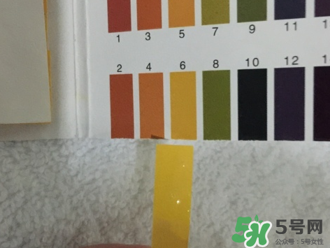 eve女性護理液粉色瓶和藍色瓶有什么區(qū)別？