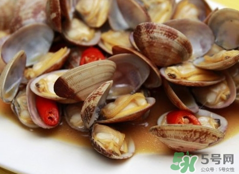 花蛤如何快速吐沙子？花蛤吐沙鹽水比例多少？