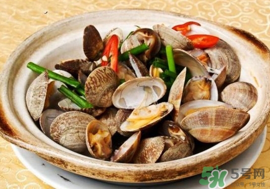 花蛤如何快速吐沙子？花蛤吐沙鹽水比例多少？