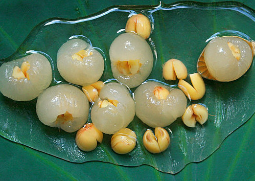 龍眼和黃皮可以一起吃嗎？黃皮能和龍眼一起吃嗎