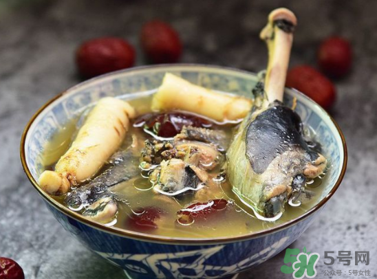 三伏天可以吃人參嗎？三伏天吃人參好嗎？