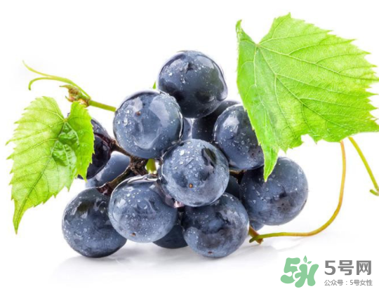 夏黑葡萄為什么掉色？夏黑葡萄怎么會(huì)染色？