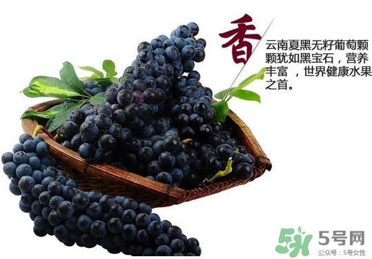 夏黑葡萄怎么保存？夏黑葡萄可以放冰箱嗎？