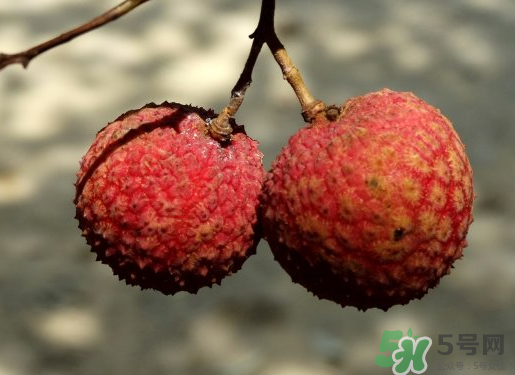 七月份還有荔枝嗎？7月份還有荔枝嗎？                                                                                                                                                                                                                                                                                                                                                                                                                                                                                                                                                                                                                                                                                                                                                                                                                                                                                                                                                                                                                                                                                                                                                                                                                                                                                                                                                                                                                                                                                                                                                                                                                                                                                                                                                                                                                                                                                                                                                                                                                                                                                                                                                                                                                                                                                                                                                                                                                                                                                                                                                                                                                                                                                                                                                                                                                                                                                                                                                                                                                                                                                                                                                                                                                                                                                                                                                                                                                                                                                                                                                                                                                                                                                                                                                                                                                                                                                                                                                                                                                                                                                                                                                                                                                                                                                                                                                                                                                                                                                                                                                                                                                                                                                                                                                                                                                                                                                                                                                                                                                                                                                                                                                                                                                                                                                                                                                                                                                                                                                                                                                                                                                                                                                                                                                                                                                                                                                                                                                                                                                                                                                                                                                                                                                                                                                                                                                                                                                                                                                                                                                                                                                                                                                                                                                                                                                                                                                                                                                                                                                                                                                                                                                                                                                                                                                                                                                                                                                                                                                                                                                                                                                                                                                                                                                                                                                                                                                                                                                                                                                                                                                                                                                                                                                                                                                                                                                                                                                                                                                                                                                                                                                                                                                                                                                                                                                                                                                                                                                                                                                                                                                                                                                                                                                                                                                                                                                                                                                                                                                                                                                                                                                                                                                                                                                                                                                                                                                                                                                                                                                                                                                                                                                                                                                                                                                                                                                                                                                                                                                                                                                                                                                                                                                                                                                                                                                                                                                                                                                                                                                                                                                                                                                                                                                                                                                                                                                                                                                                                                                                                                                                                                                                                                                                                                                                                                                                                                                                                                                                                                                                                                                                                                                                                                                                                                                                                                                                                                                                                                                                                                                                                                                                                                                                                                                                                                                                                                                                                                                                                                                                                                                                                                                                                                                                                                                                                                                                                                                                                                                                                                                                                                                                                                                                                                                                                                                                                                                                                                                                                                                                                                                                                                                                                                                                                                                                                                                                                                                                                                                                                                                                                                                                                                                                                                                                                                                                                                                                                                                                                                                                                                                                                                                                                                                                                                                                                                                                                                                                                                                                                                                                                                                                                                                                                                                                                                                                                                                                                                                                                                                                                                                                                                                                                                                                                                                                                                                                                                                                                                                                                                                                                                                                                                                                                                                                                                                                                                                                                                                                                                                                                                                                                                                                                                                                                                                                                                                                                                                                                                                                                                                                                                                                                                                                                                                                                                                                                                                                                                                                                                                                                                                                                                                   月份還有荔枝嗎？