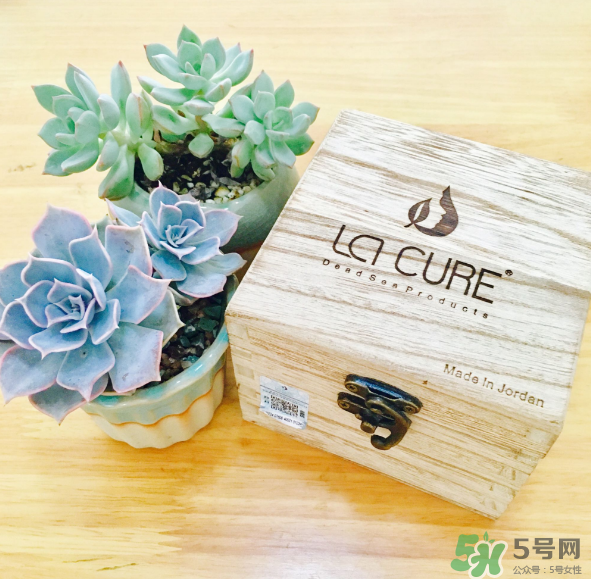 天然死海礦物泥面膜怎么樣？天然死海礦物泥面膜好用嗎？