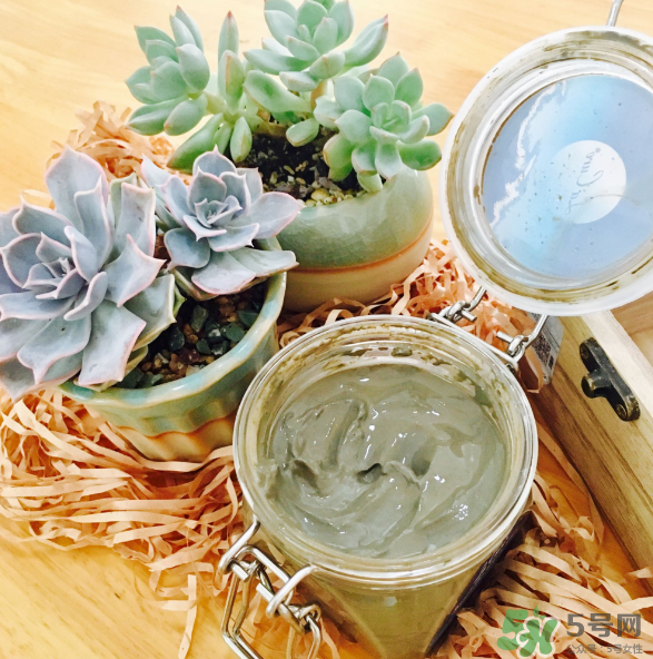 天然死海礦物泥面膜怎么樣？天然死海礦物泥面膜好用嗎？