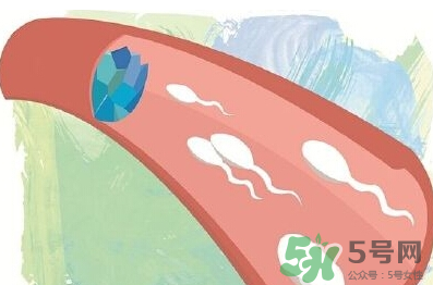 男性避孕藥什么牌子好？男性避孕藥多少錢一盒？