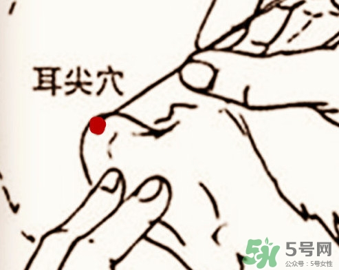 什么是放血療法？放血療法能治什么病