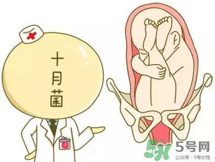 胎位不正能順產(chǎn)嗎？胎位不正怎么辦？