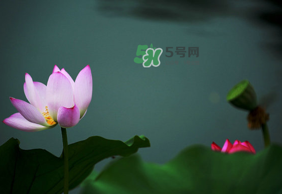 2017中伏最熱嗎？ 2017初伏中伏末伏哪個(gè)最熱？