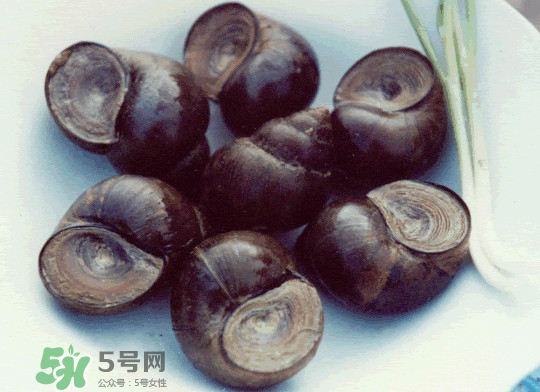 田螺是發(fā)物嗎？田螺是海鮮嗎