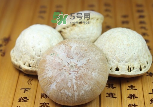 風(fēng)流果泡酒要不要敲碎？壯陽果泡水要不要敲碎？