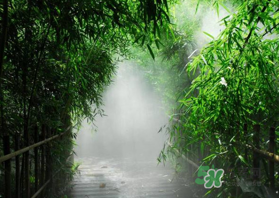 2017大暑會不會下雨？2017大暑下雨好嗎？