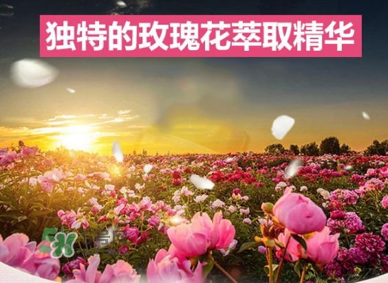 資生堂玫瑰園沐浴露怎么樣？資生堂玫瑰園沐浴露多少錢