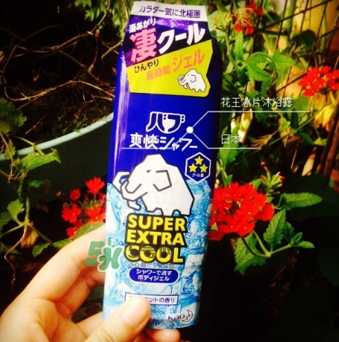 花王kao冰片沐浴露怎么樣？花王冰片沐浴露哪款好？