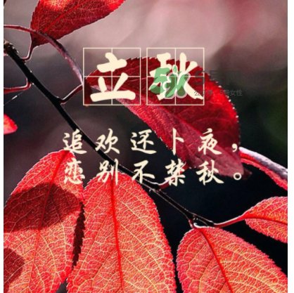 立秋后就是秋天了嗎？立秋后就涼快了嗎？