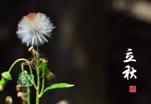 立秋后就是秋天了嗎？立秋后就涼快了嗎？