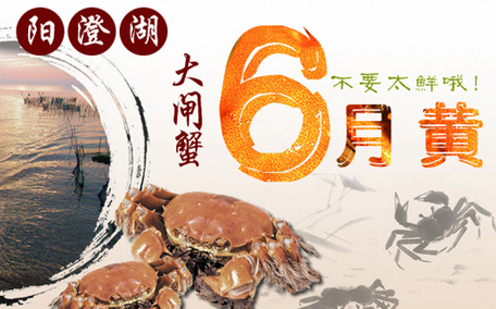 六月黃大閘蟹好吃嗎？六月黃和大閘蟹有什么區(qū)別？