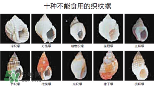 哪些人不能吃田螺？哪些田螺不能吃