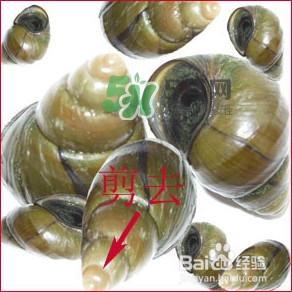 田螺里面都可以吃嗎？田螺不能和什么同食