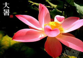 2017中伏最熱嗎？ 2017初伏中伏末伏哪個最熱？