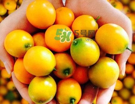 金桔是熱性還是涼性？金桔是酸性還是堿性