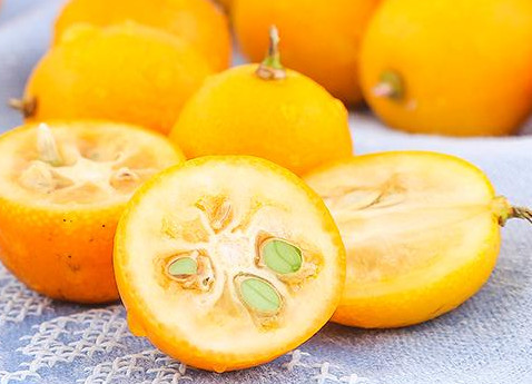 金桔是幾月份的水果？金桔是什么季節(jié)的水果