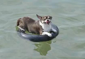 三伏天為什么會(huì)很熱？三伏天太熱怎么辦？