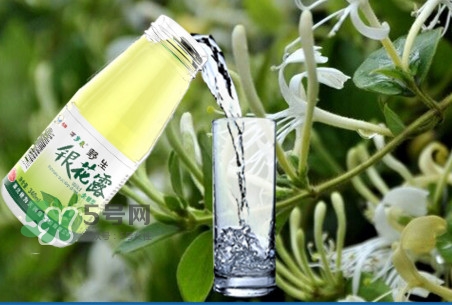 金銀花露是涼性的嗎？喝金銀花露有什么好處