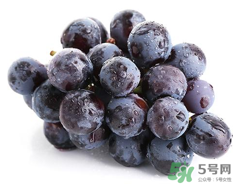 夏黑葡萄是轉(zhuǎn)基因嗎？夏黑無(wú)籽葡萄是不是轉(zhuǎn)基因的？