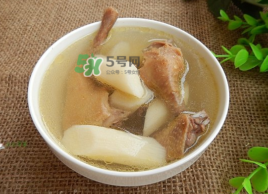 三伏天能吃鴿子嗎？三伏天能喝鴿子湯嗎？