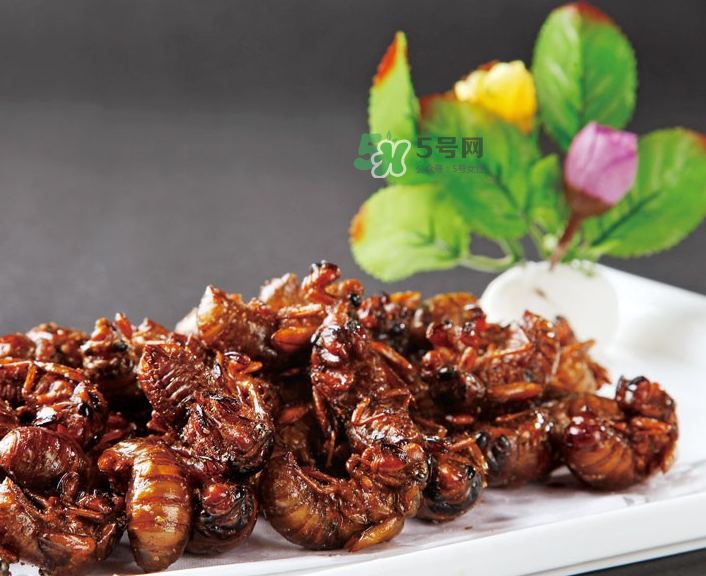 金蟬有什么營養(yǎng)價(jià)值？吃金蟬有什么好處？