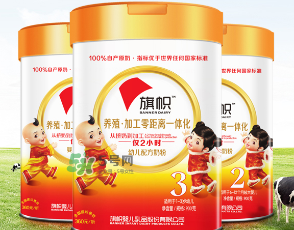 旗幟奶粉怎么樣？旗幟奶粉好不好？