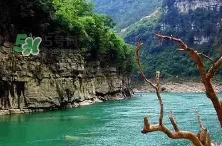 漂流需要準(zhǔn)備什么東西？漂流哪里最好玩？