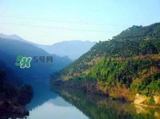 漂流需要準(zhǔn)備什么東西？漂流哪里最好玩？