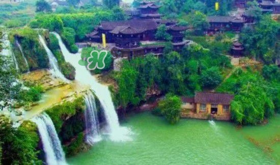 漂流需要準(zhǔn)備什么東西？漂流哪里最好玩？