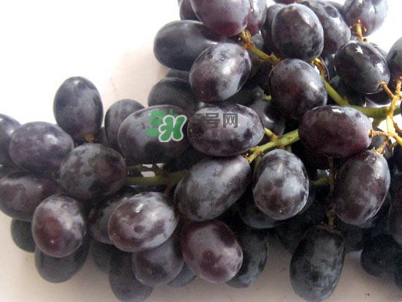 紅提好吃還是黑提好吃？黑提對(duì)身體有什么好處