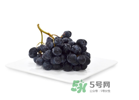 黑提有籽嗎？黑提是什么季節(jié)的水果