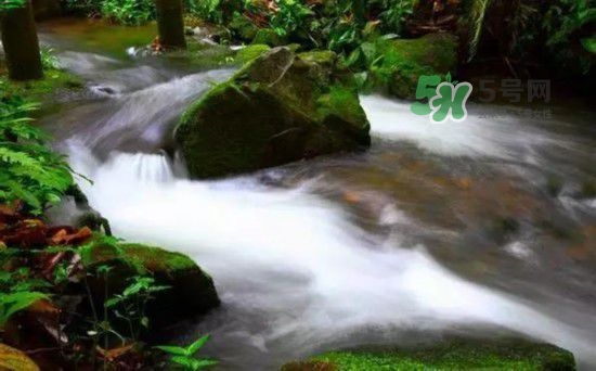 漂流需要準(zhǔn)備什么東西？漂流哪里最好玩？