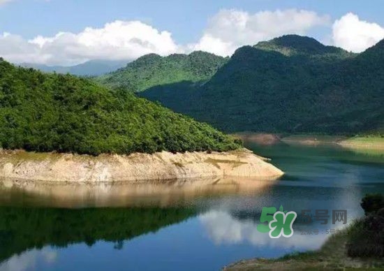 漂流需要準(zhǔn)備什么東西？漂流哪里最好玩？