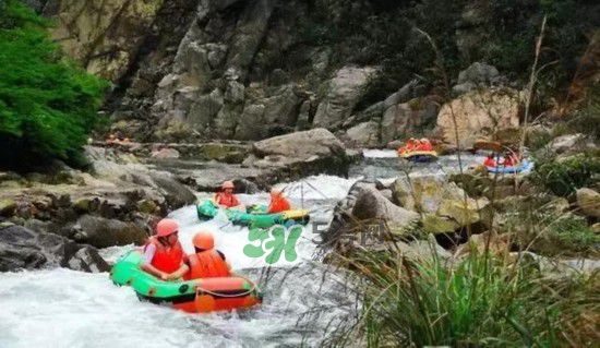 漂流需要準(zhǔn)備什么東西？漂流哪里最好玩？