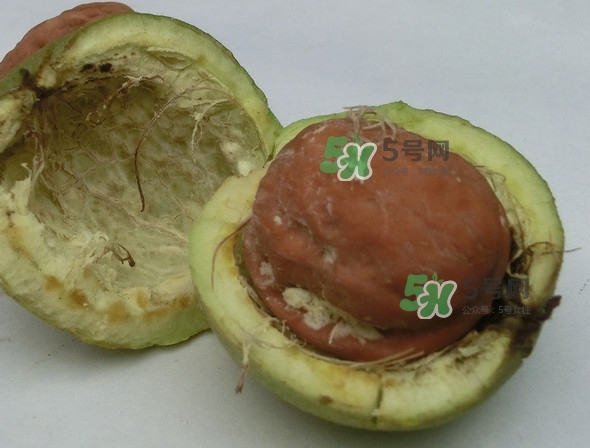 核桃最外面的青皮有什么用？為什么摸了核桃的青皮手會黑？