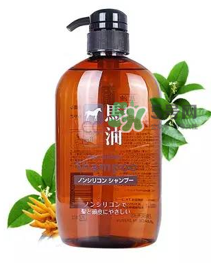 熊野馬油洗發(fā)水起頭屑嗎？KUMANO洗發(fā)水用完長頭屑嗎？