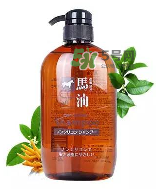 熊野馬油洗發(fā)水起頭屑嗎？KUMANO洗發(fā)水用完長頭屑嗎？