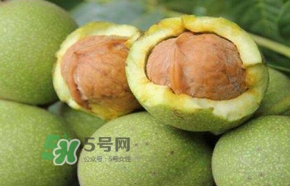 一斤青皮核桃退皮后剩多少？青皮核桃和普通核桃的區(qū)別