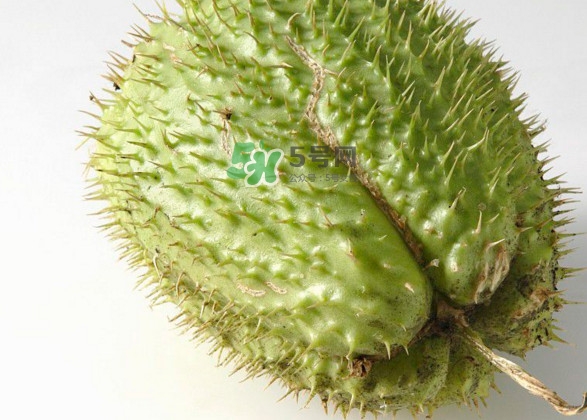 刺果番荔枝多少錢一斤？刺果番荔枝哪里有賣？