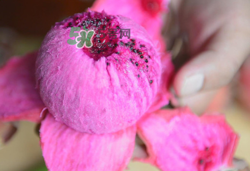 紅心火龍果一天吃幾個(gè)？紅心火龍果一天吃多少？